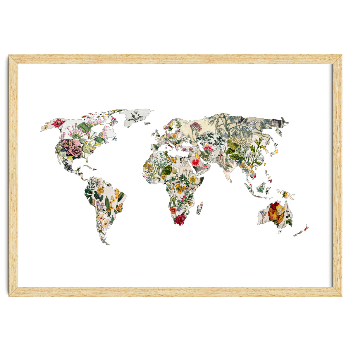 Vintage Botanical Map