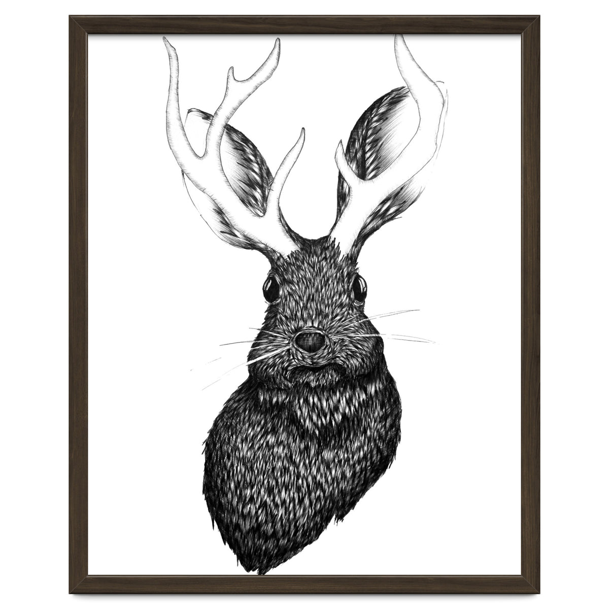 Jackalope