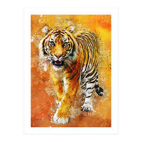 Tiger (Print Only)