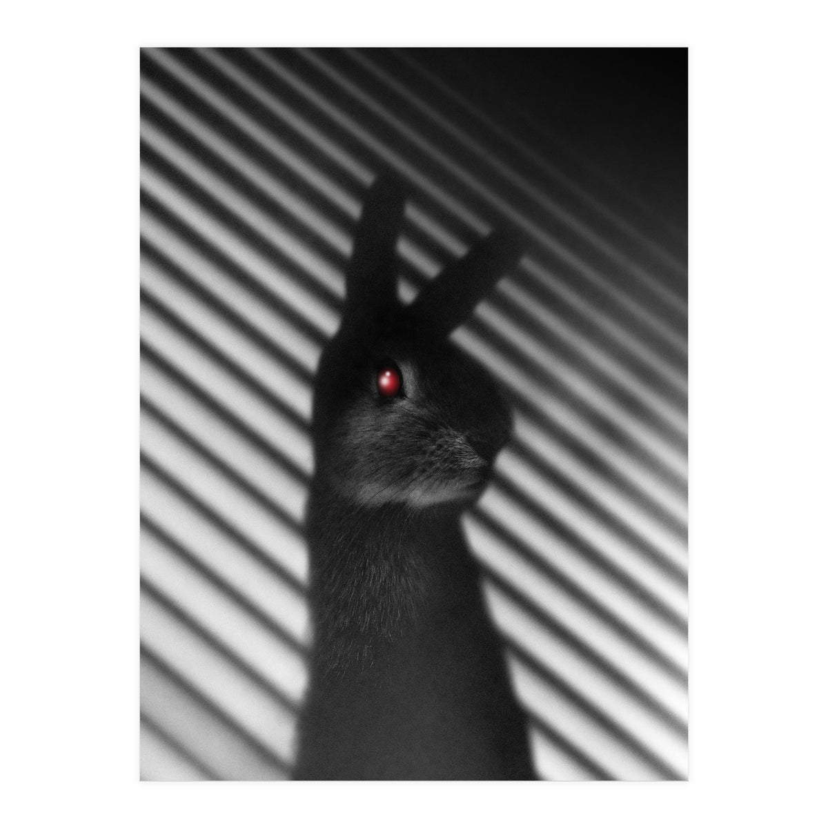 Shadow Bunny (Print Only)