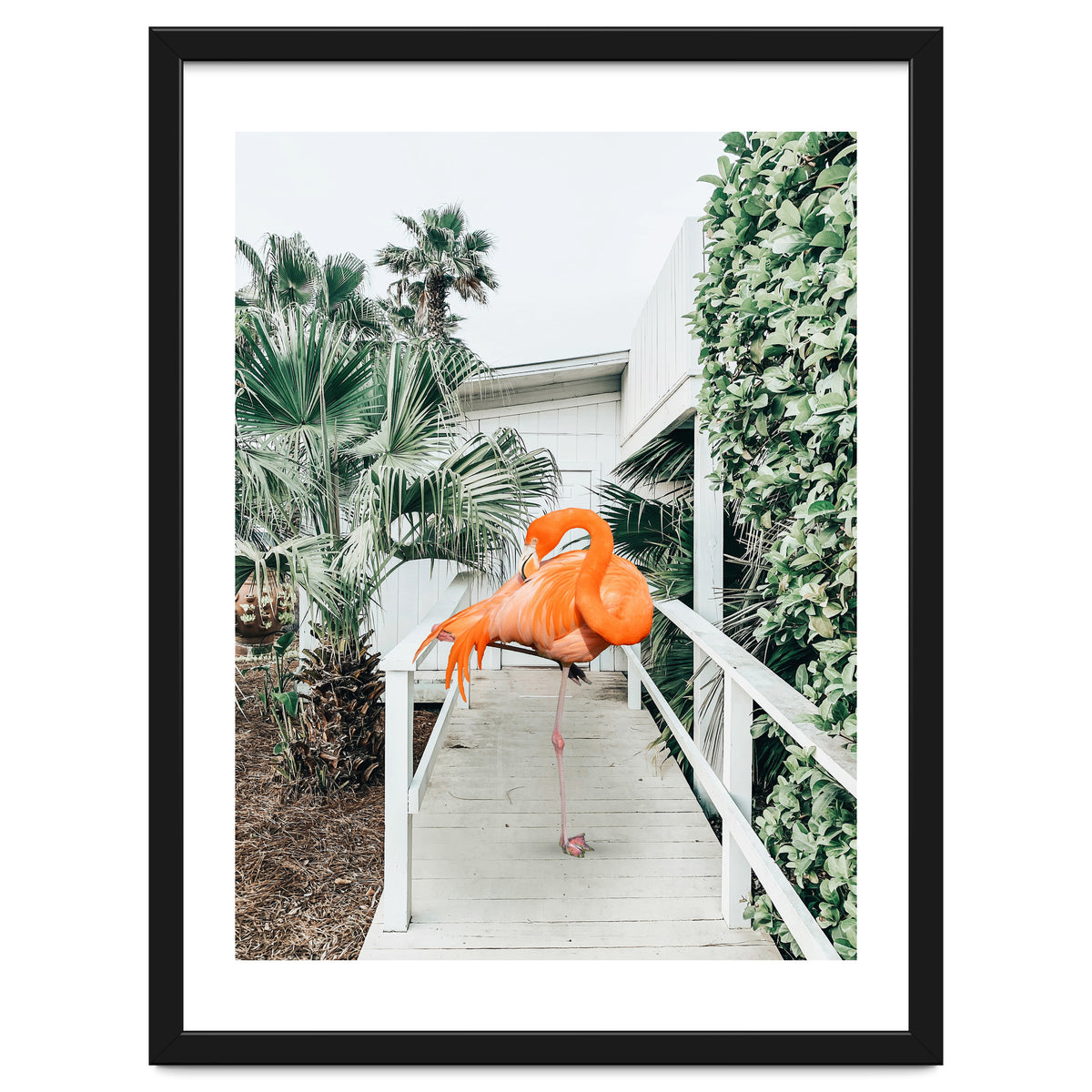 Flamingo Beach House