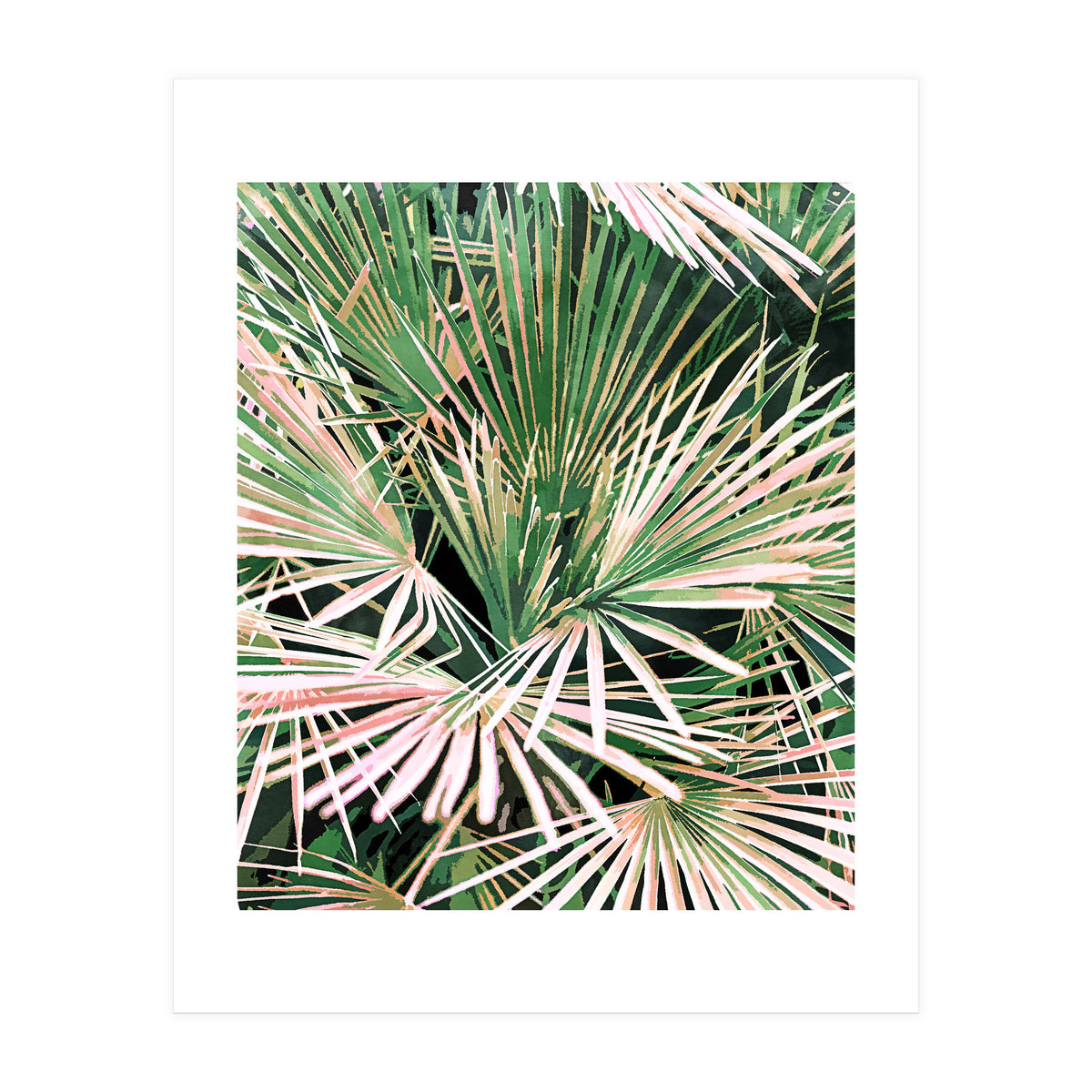 Palms II (Print Only)