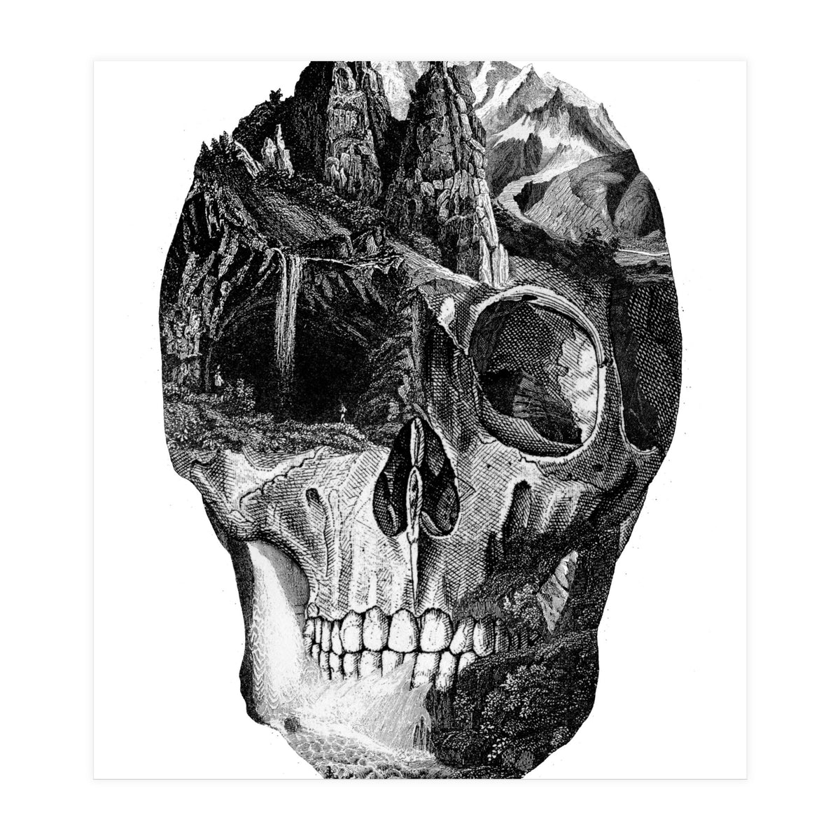 The Final Adventure (Print Only)