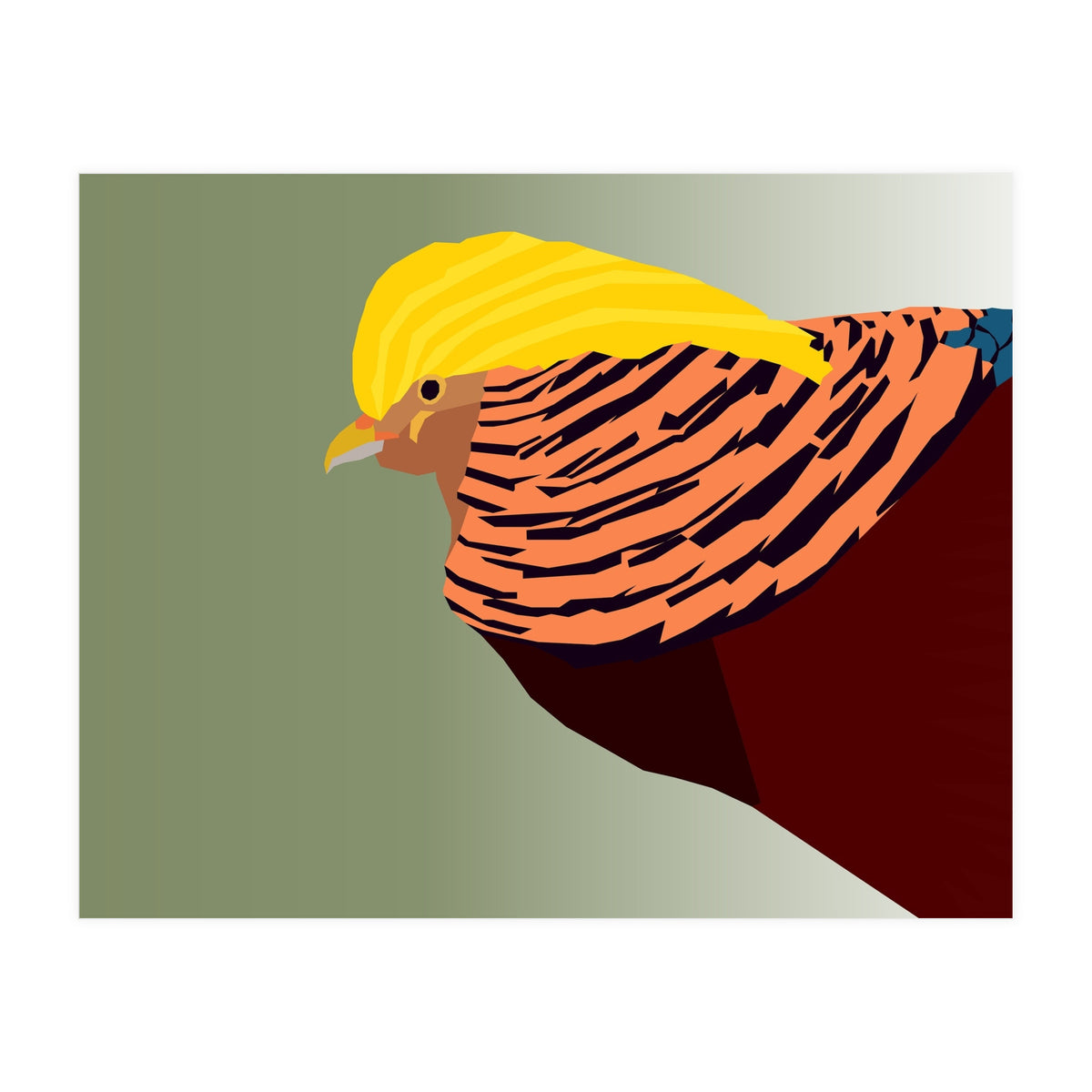 Golden Pheasant Bird Art (Print Only)