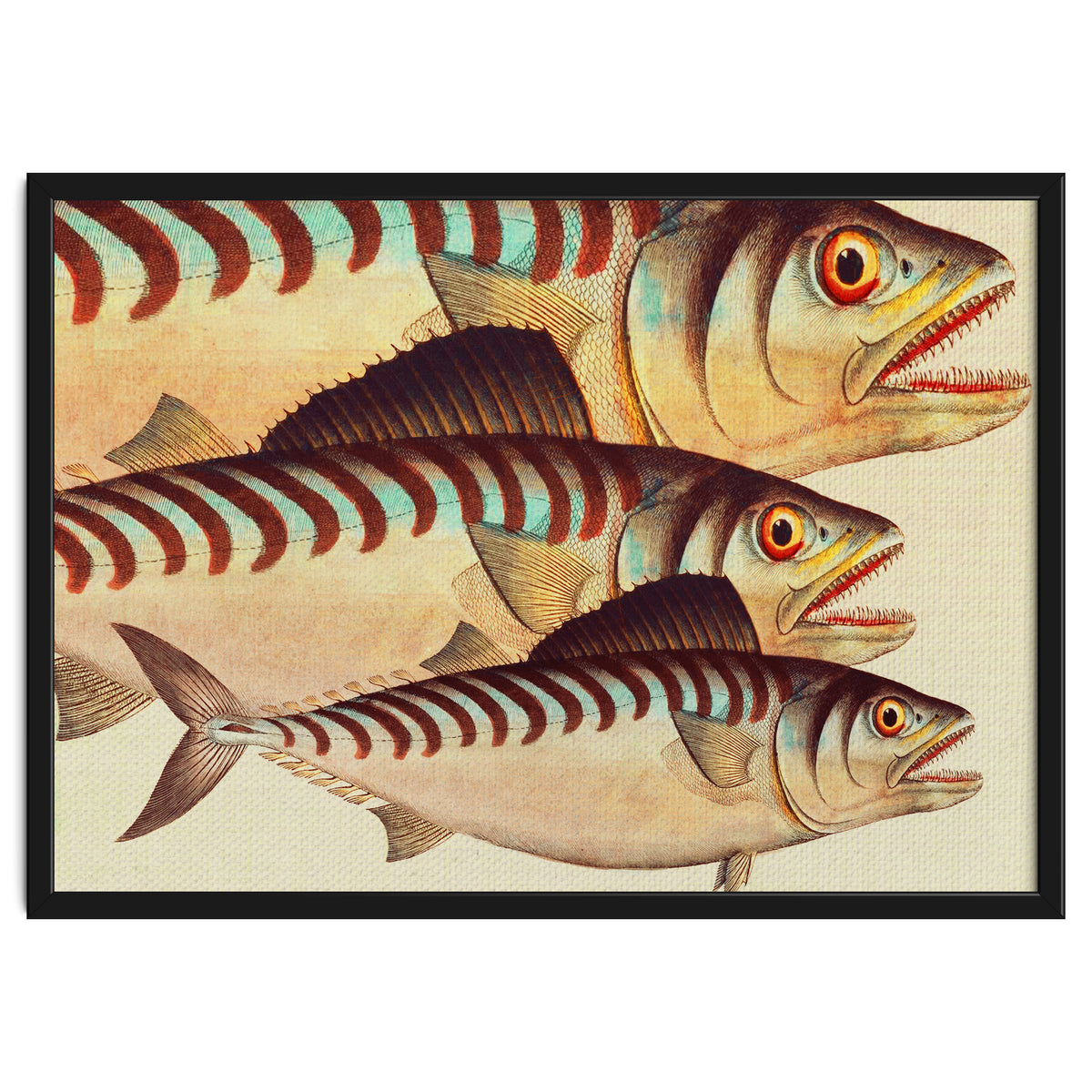 Fish Classic Designs 8