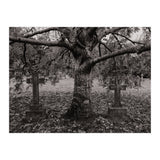 Golgotha (Print Only) thumbnail