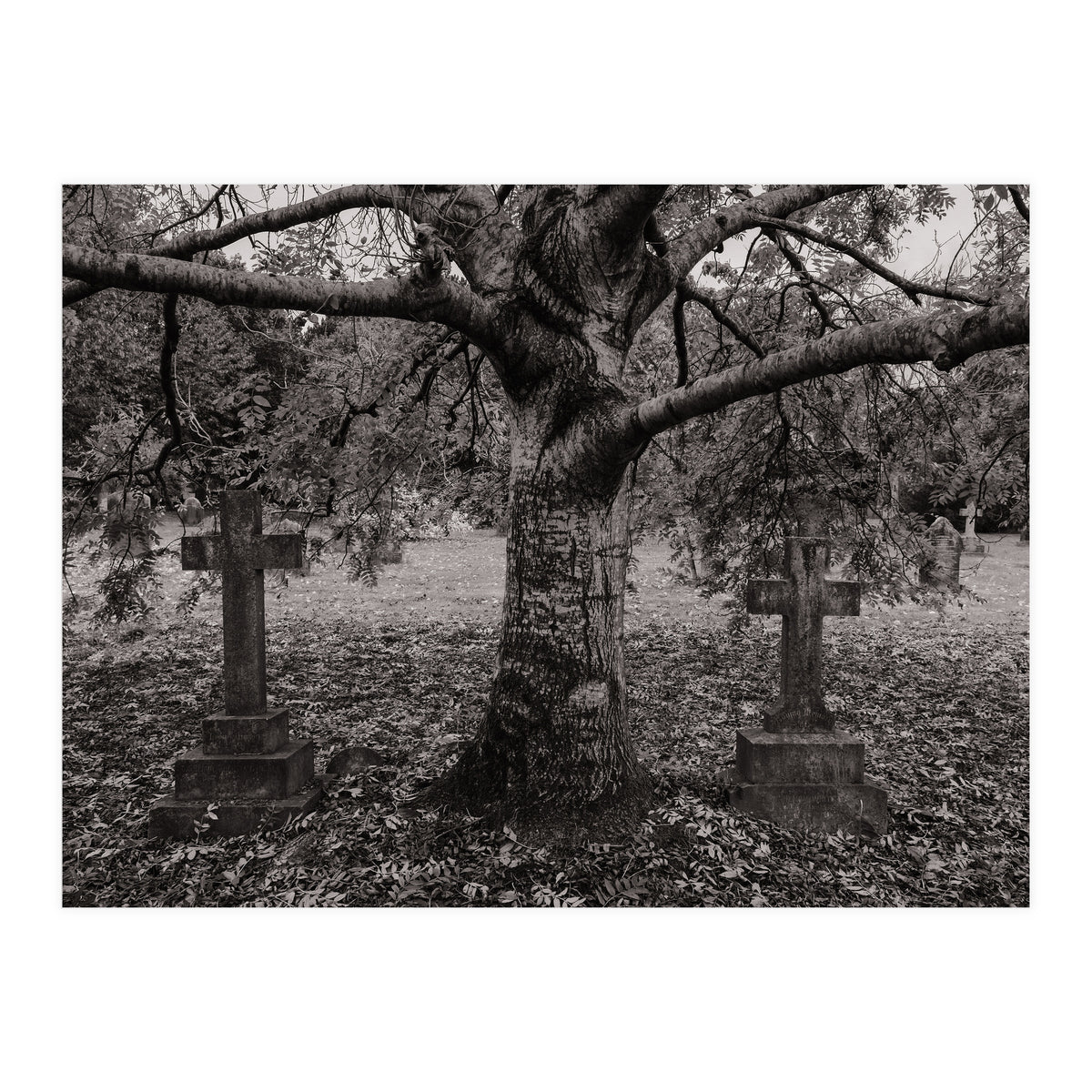 Golgotha (Print Only)