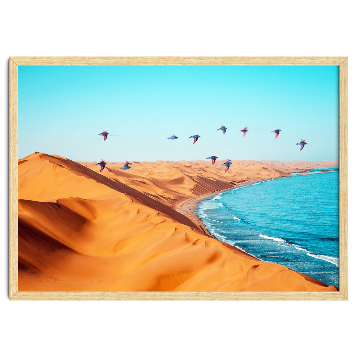 Desert Birds