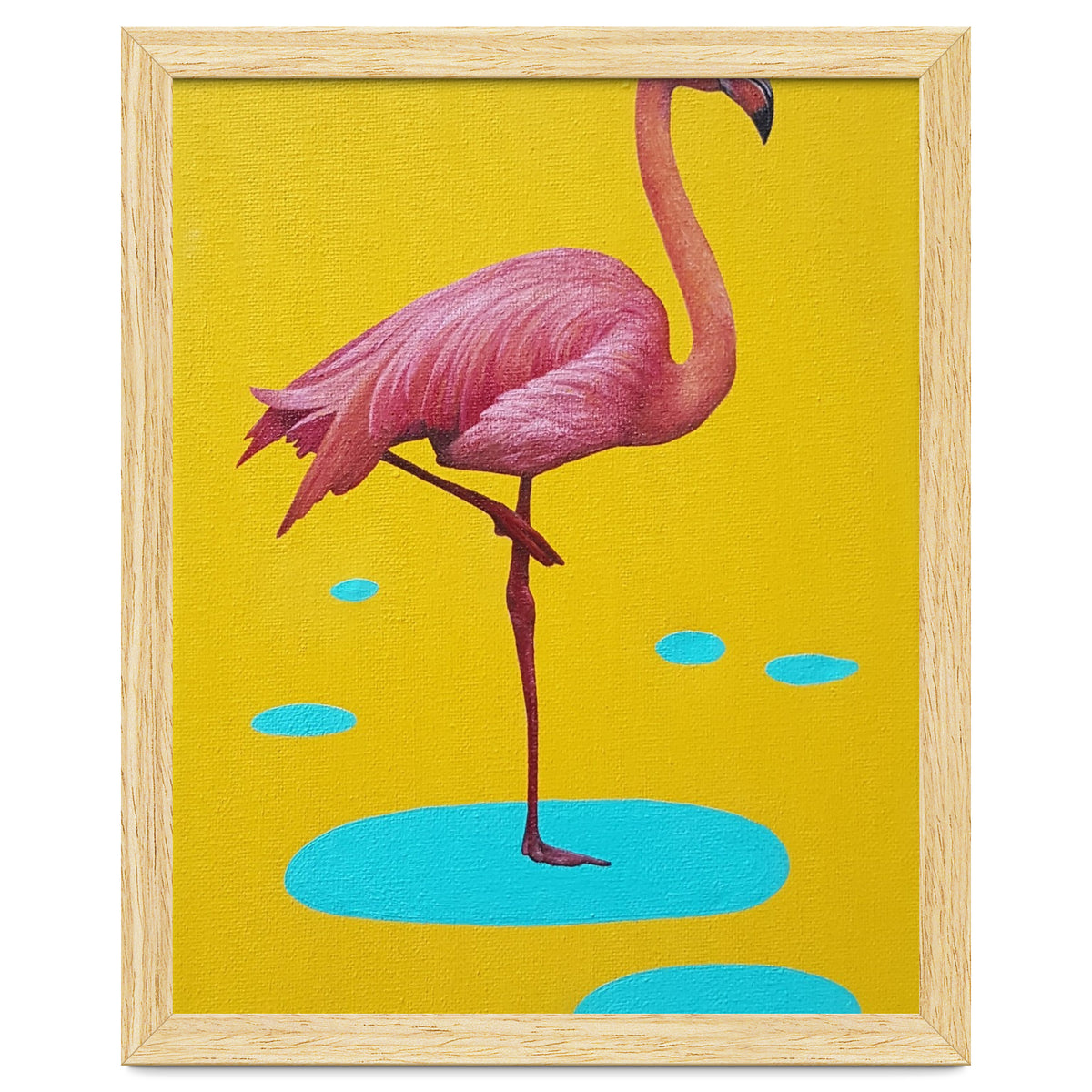 Flamingo