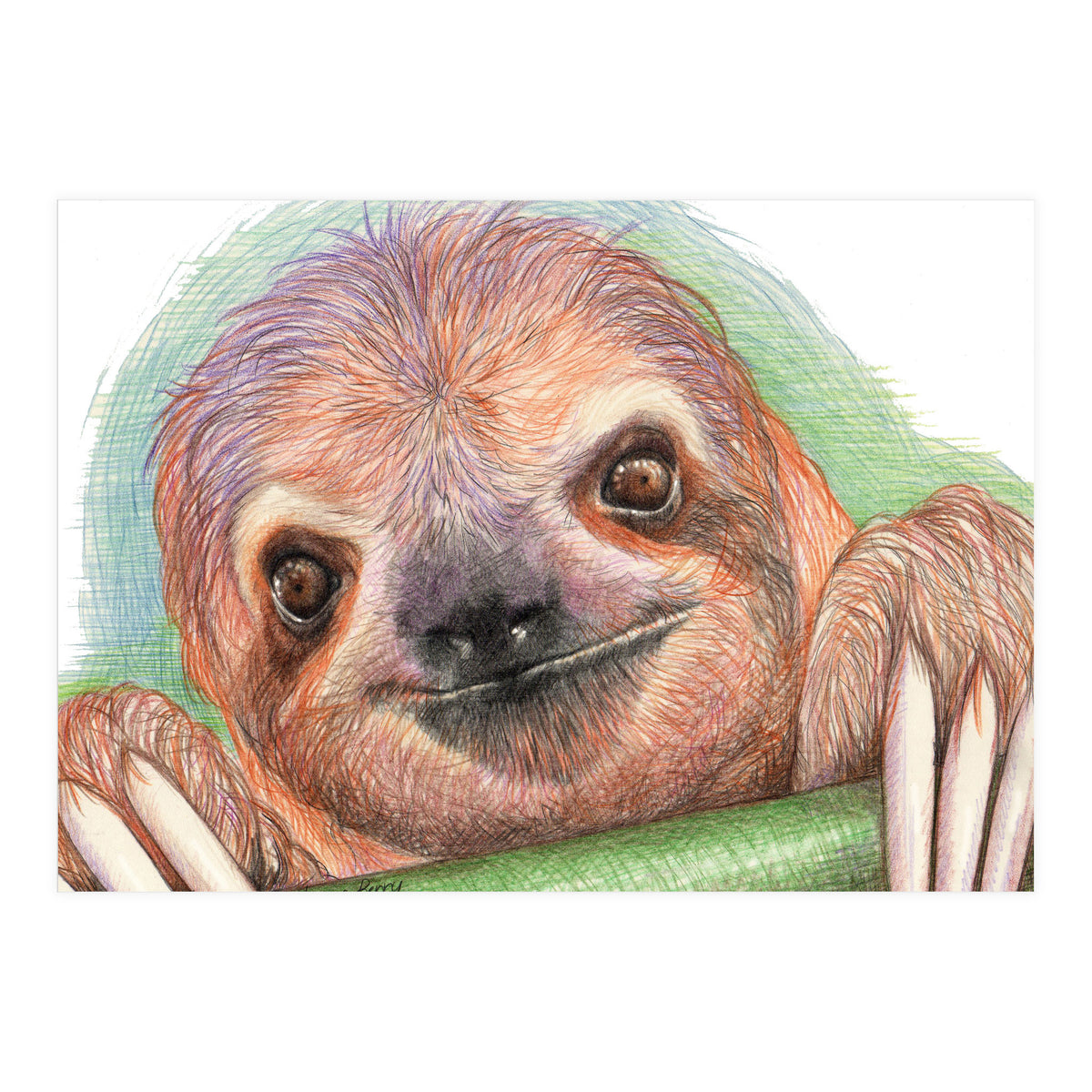 Smiling Sloth (Print Only)