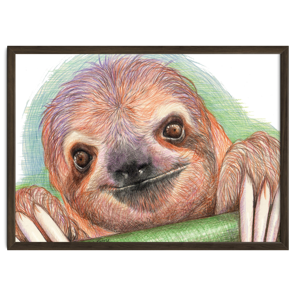 Smiling Sloth