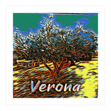 Colorful Olive tree in Verona, Italy. (Print Only) thumbnail