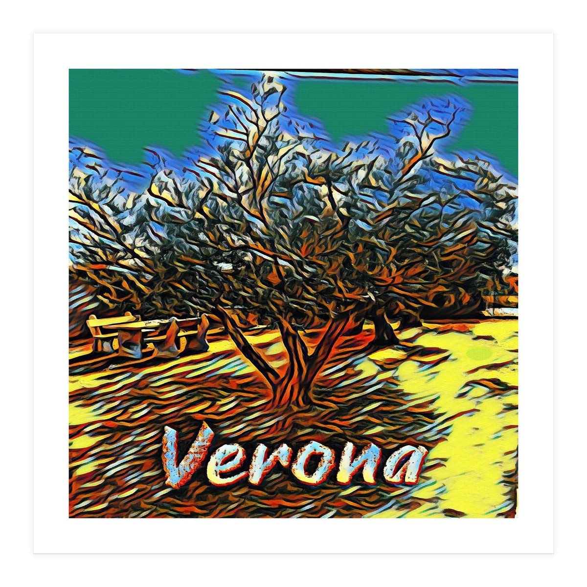 Colorful Olive tree in Verona, Italy. (Print Only)