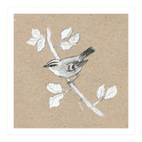 Gold crest (Print Only) thumbnail