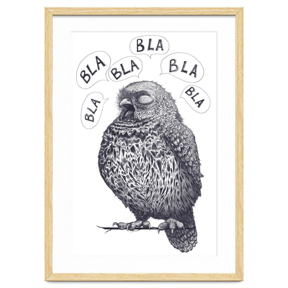 Owl Bla Bla Bla