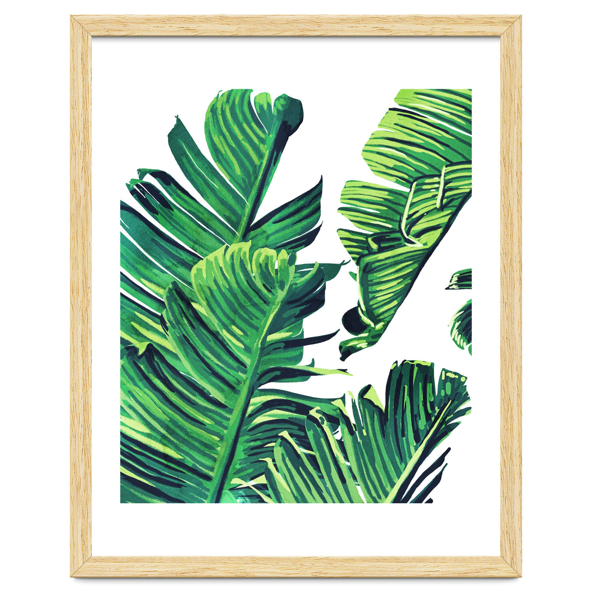 Banana Tree Leaves
