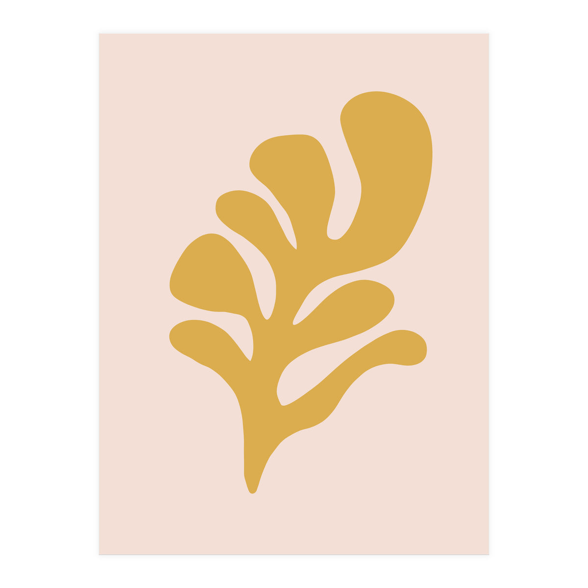 Matisse Inspo (Print Only)