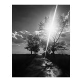 Walking on the shadows (Print Only) thumbnail