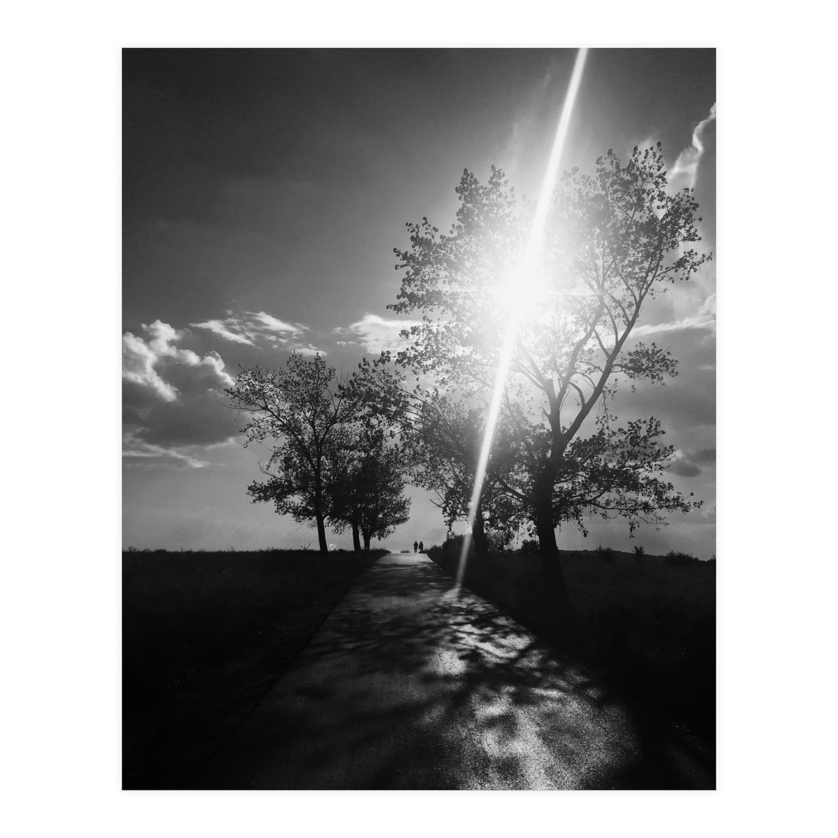 Walking on the shadows (Print Only)