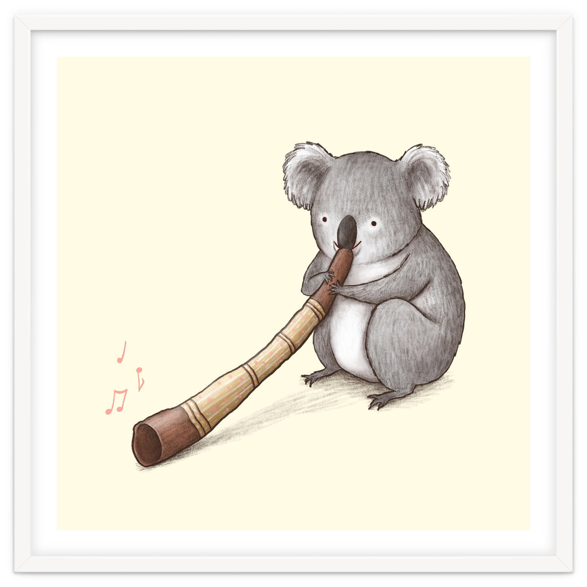 Koala Playing a Didgeridoo