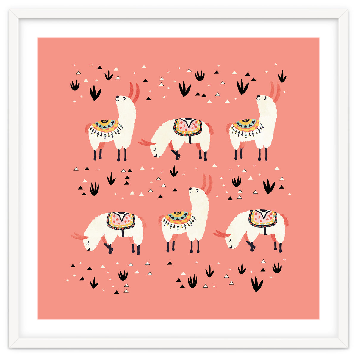 White Llamas In Pink Desert