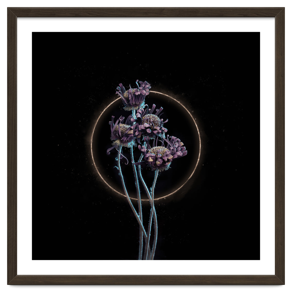 Candy-Coloured Mystery