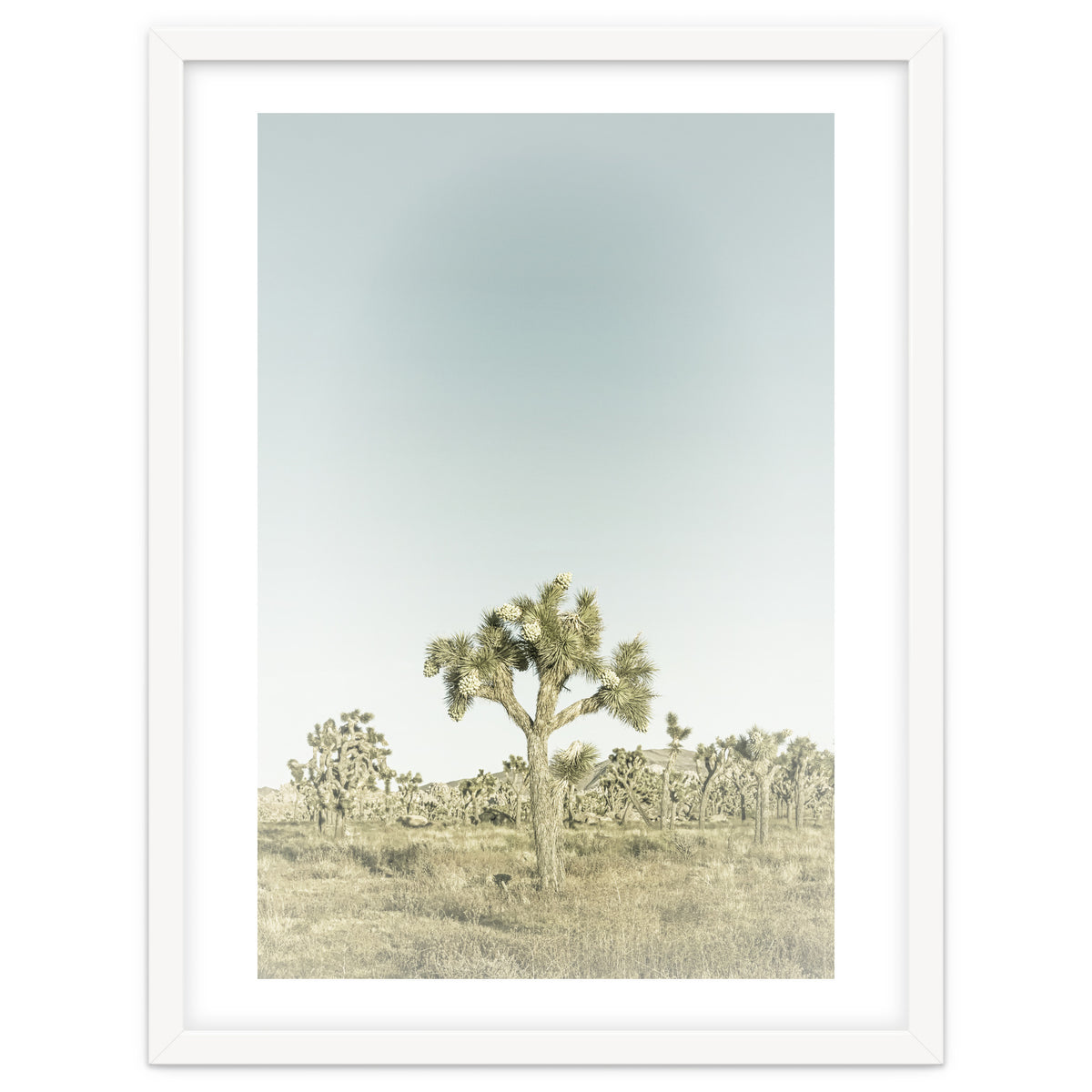 Vintage Joshua Tree