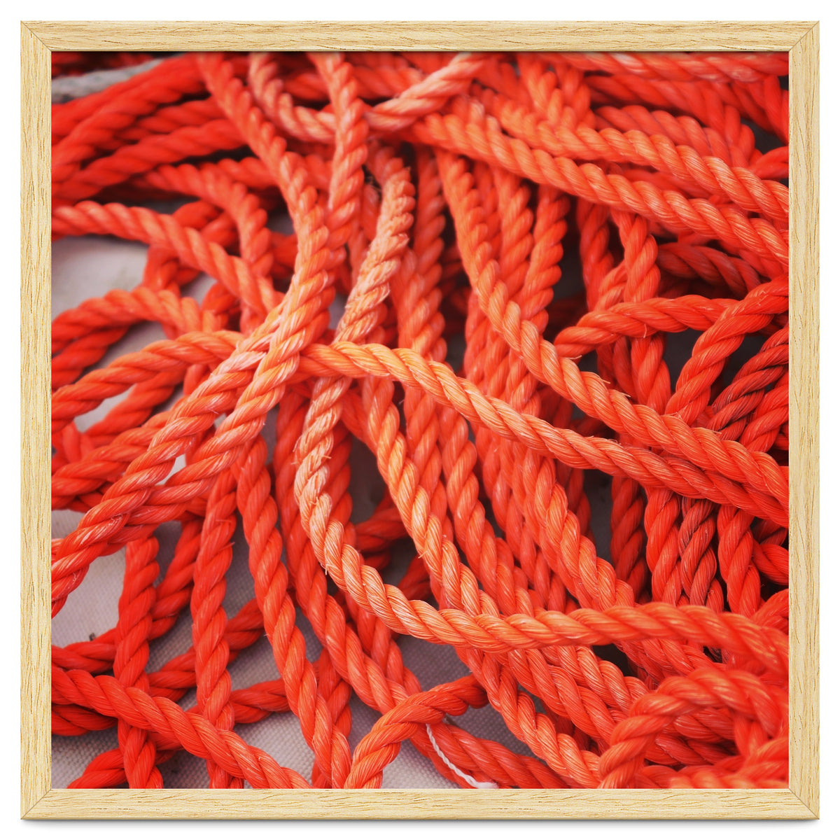 Orange ropes