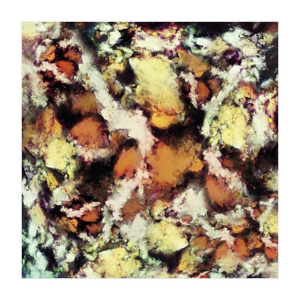 Fractured Viewpoint (Print Only)