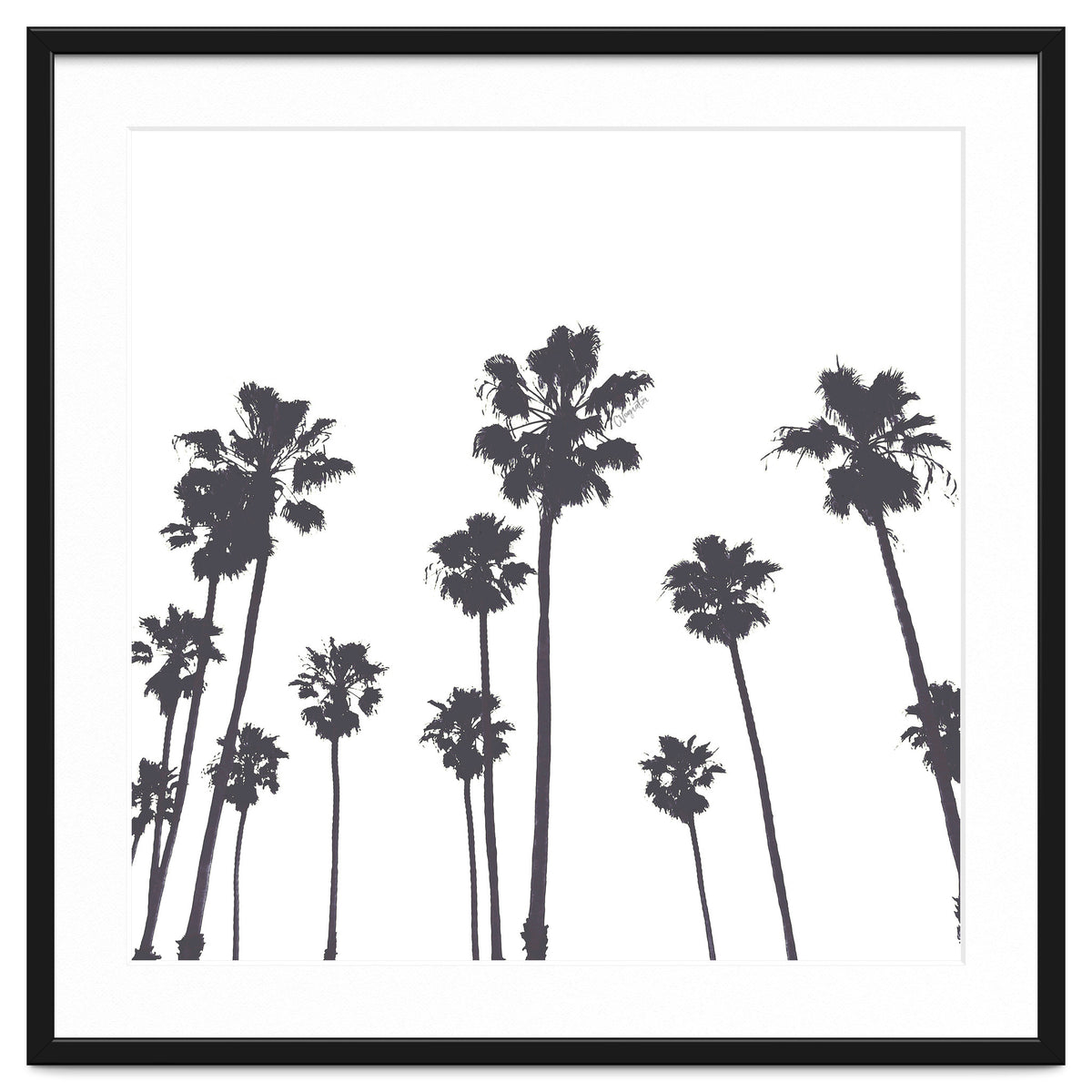 Palms & Sunset-Minimal B&W