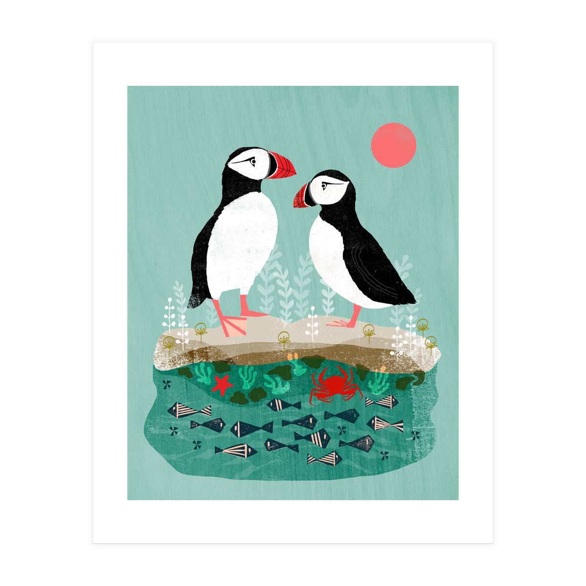 Puffin (Print Only)