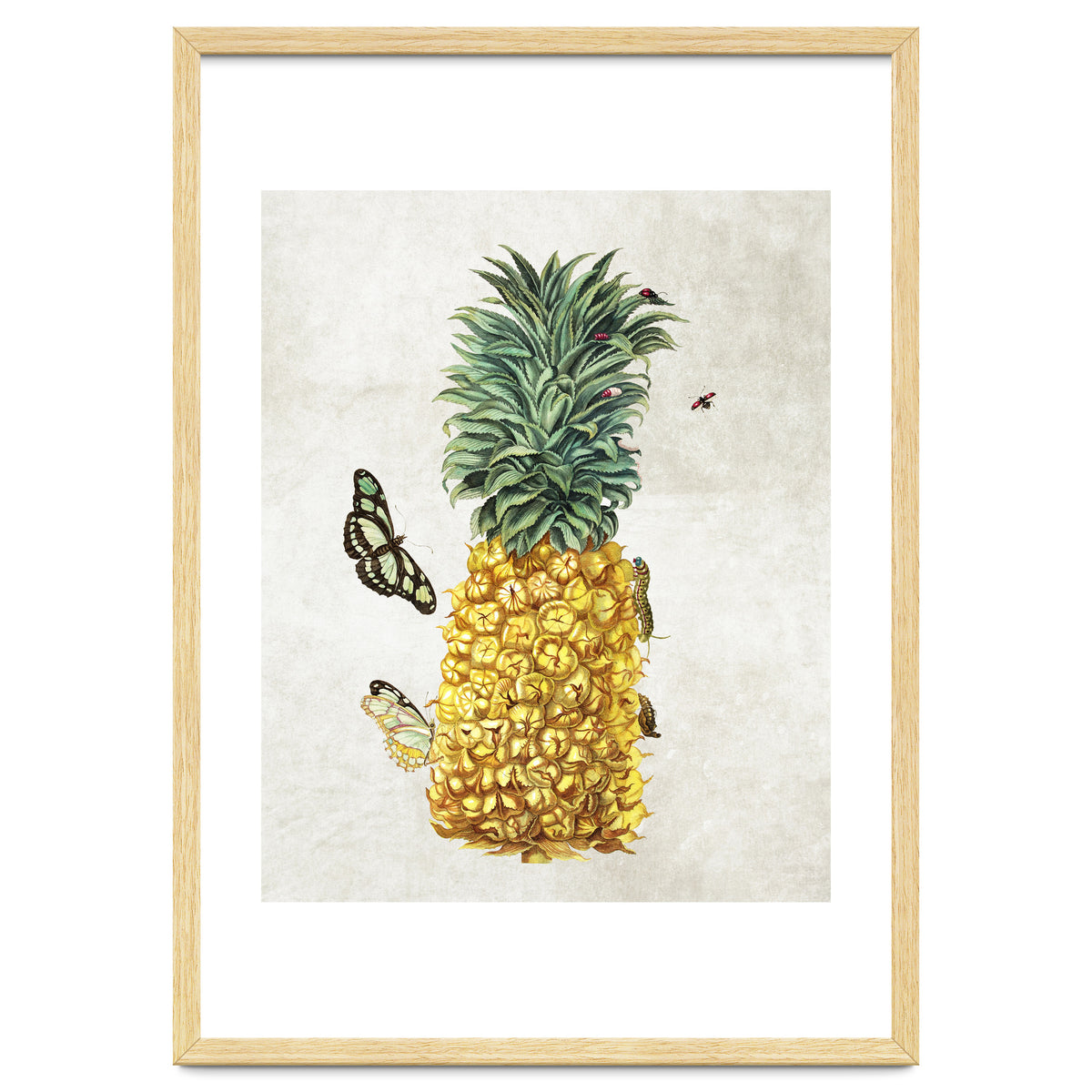 ananas