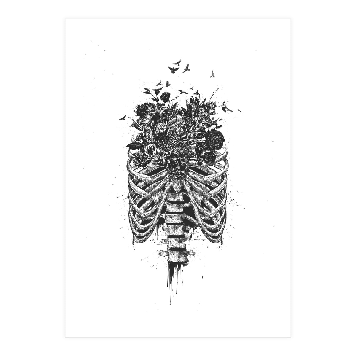 New Life Bw (Print Only)