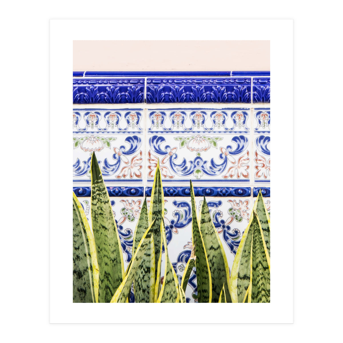 Moroccan Botany (Print Only)