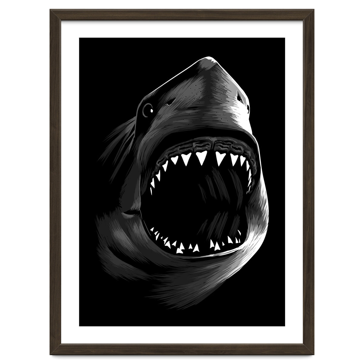 Megalodon