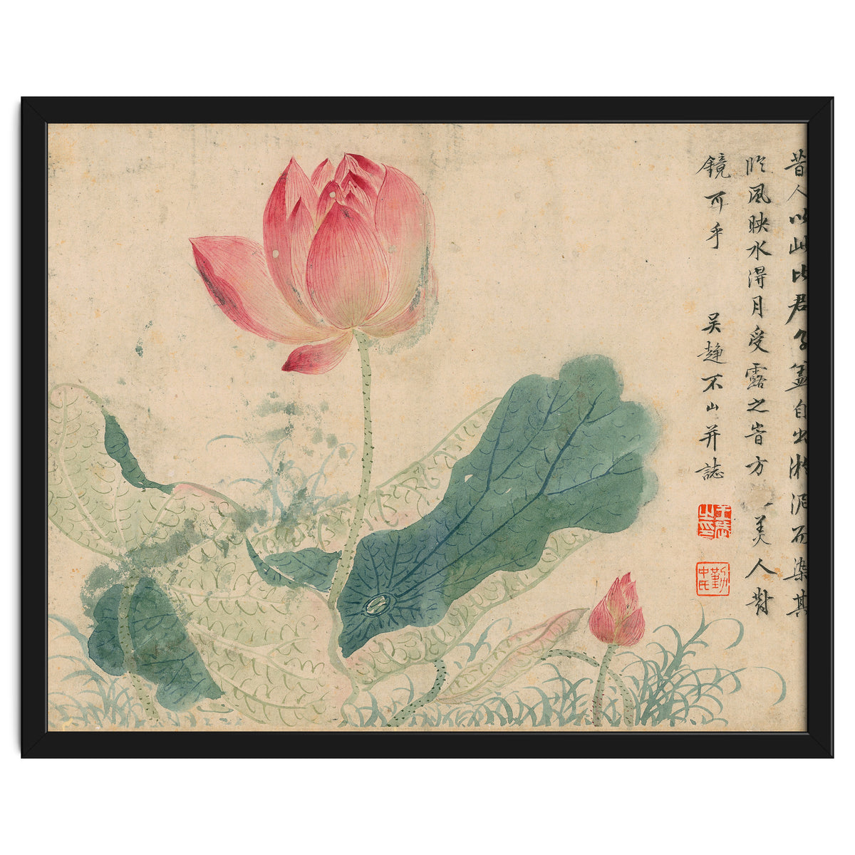 Qing Wangwu Flower album, lotus, lotus leaf, pond, copy of water grass