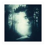 passage (Print Only) thumbnail