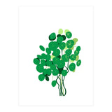 Pilea (Print Only) thumbnail