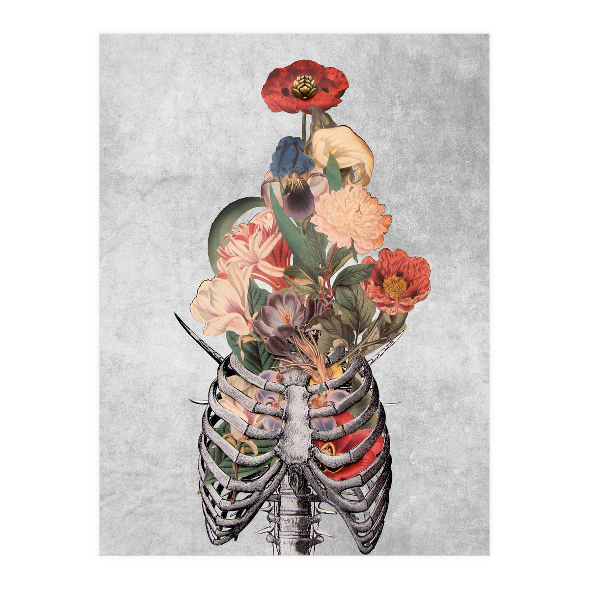 arte vittoriana (Print Only)