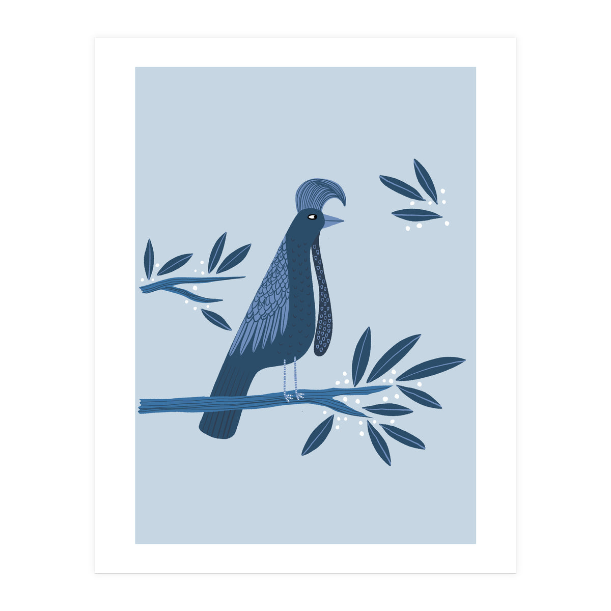 Umbrellabird (Print Only)