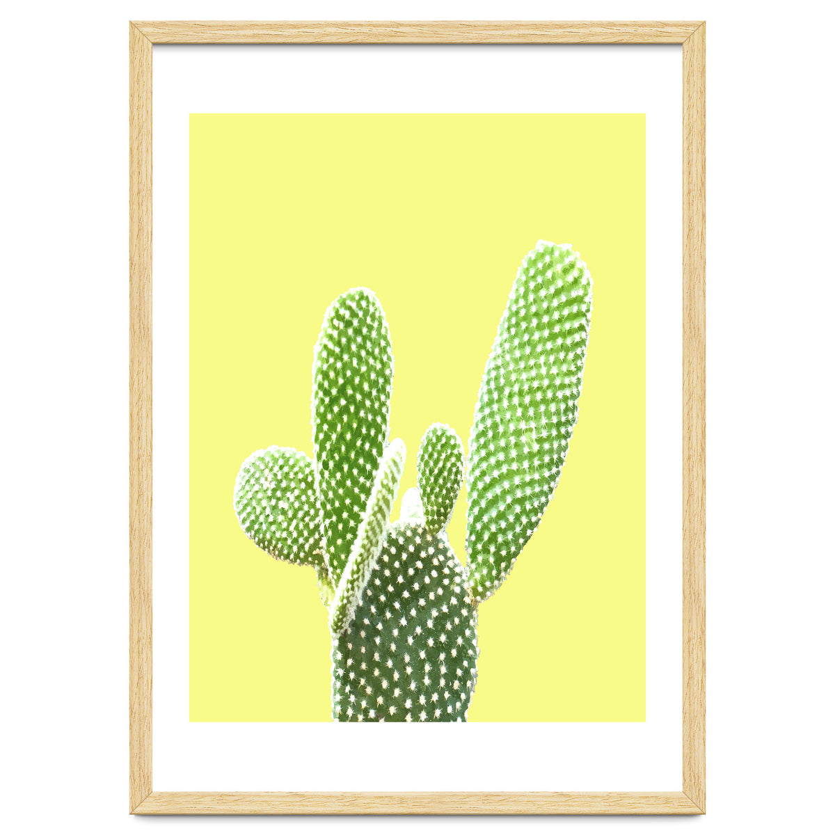 Cactus Yellow Background