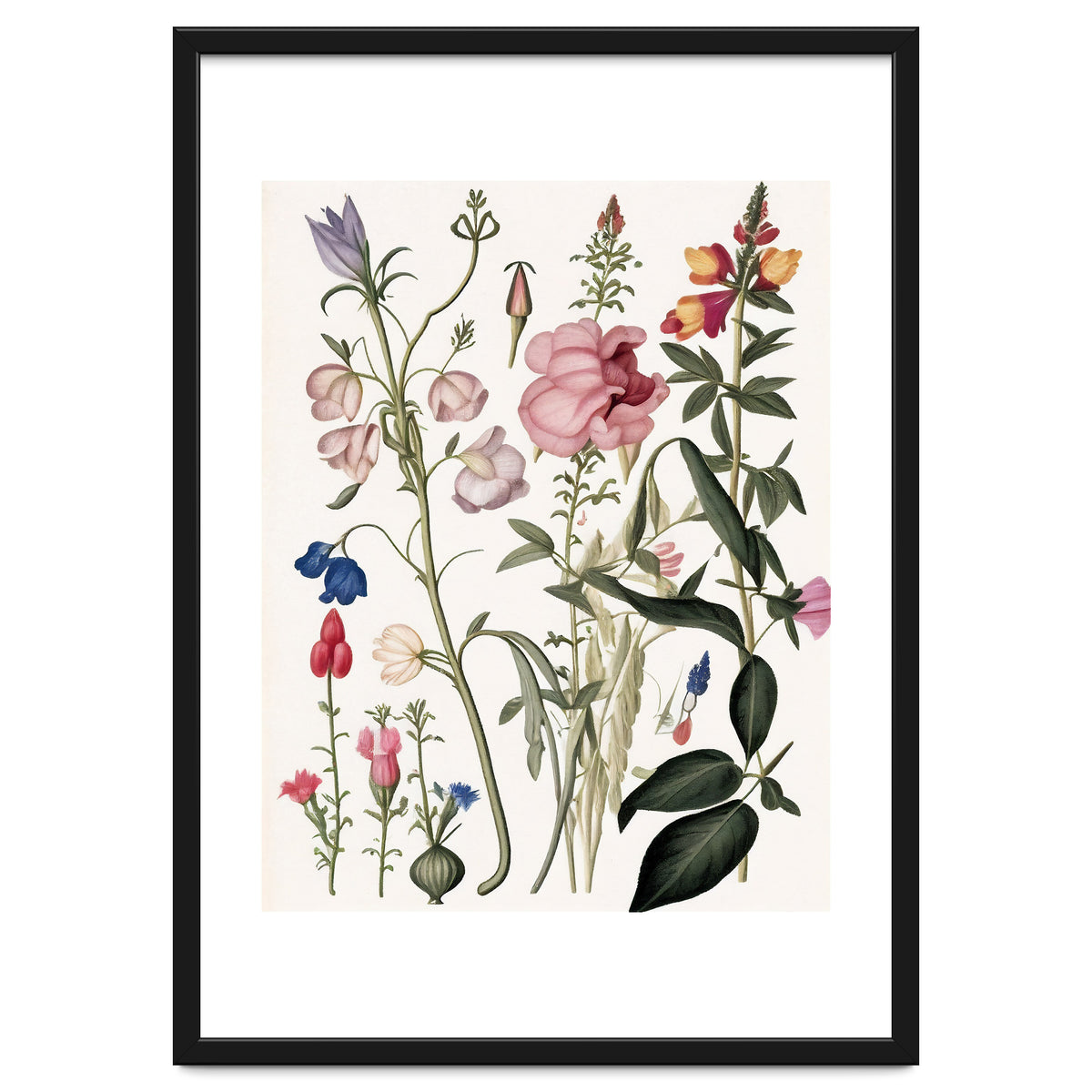 Flowers Botanical Vintage Illustration