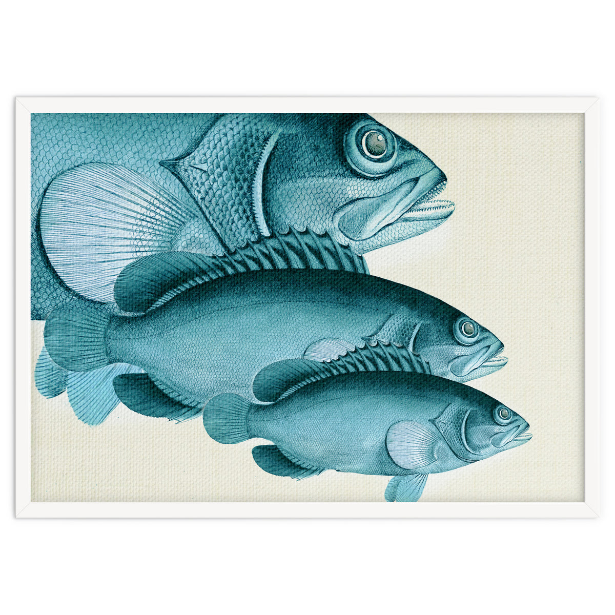 Fish Classic Designs 4