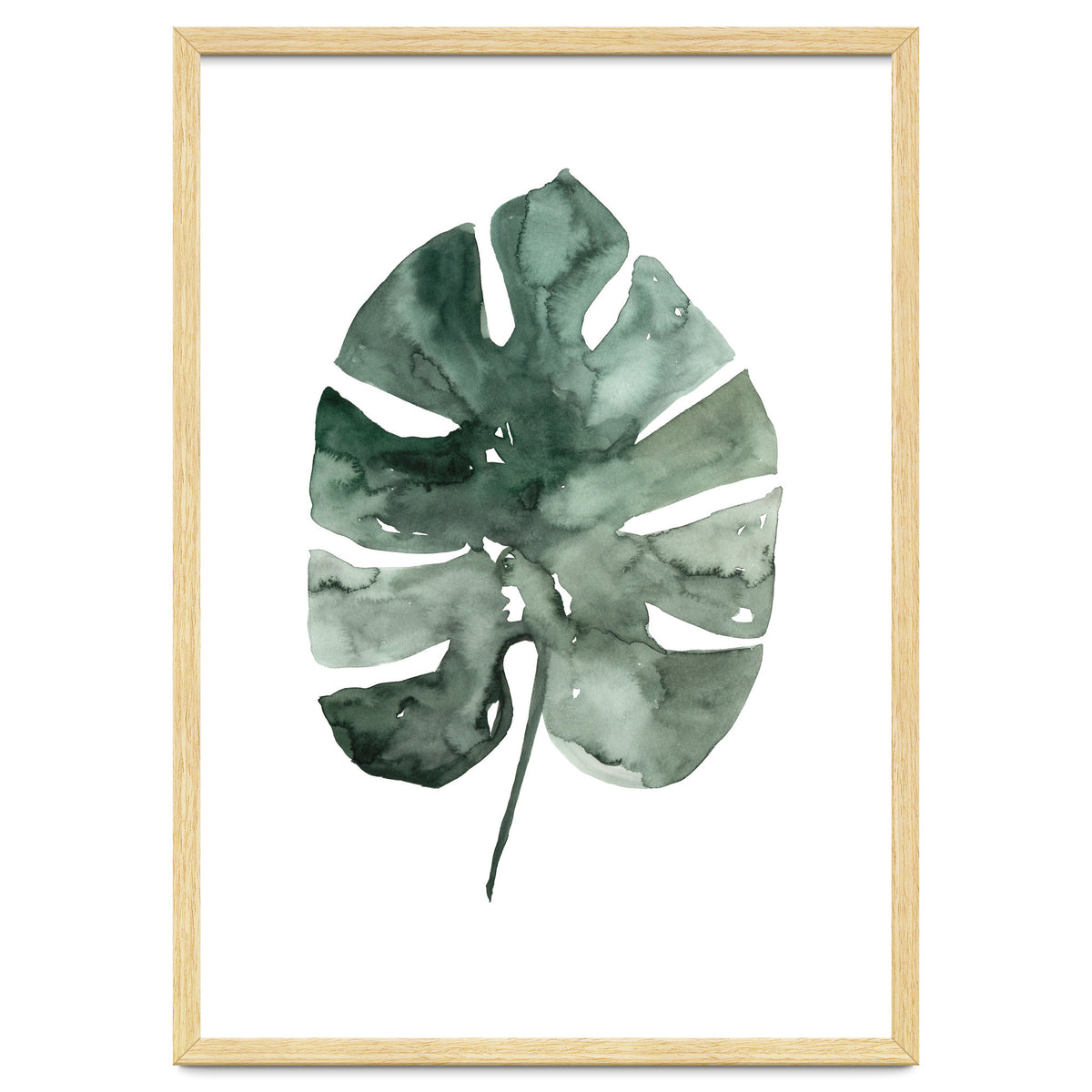 Botanical Illustration Monstera Leaf