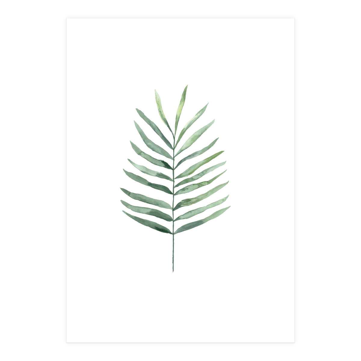 Botanical Illustration Fern (Print Only)