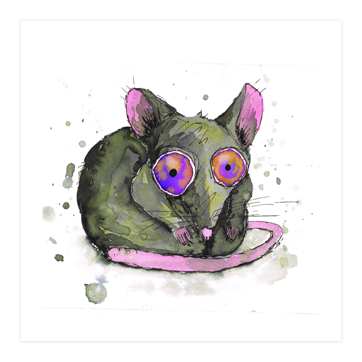 Rat (Print Only)