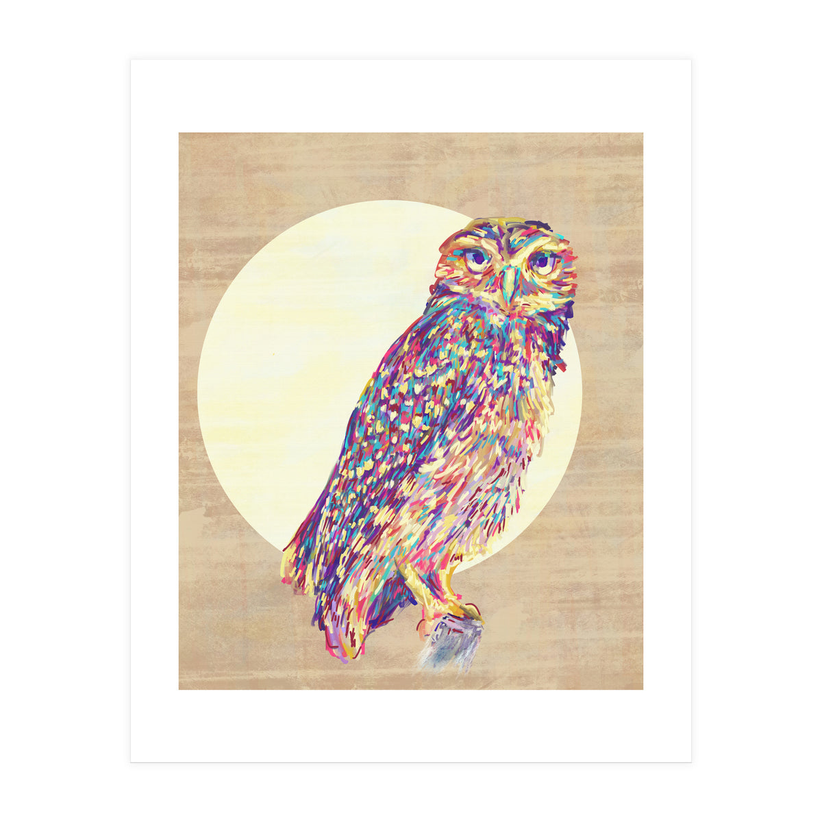 Owl (Print Only)