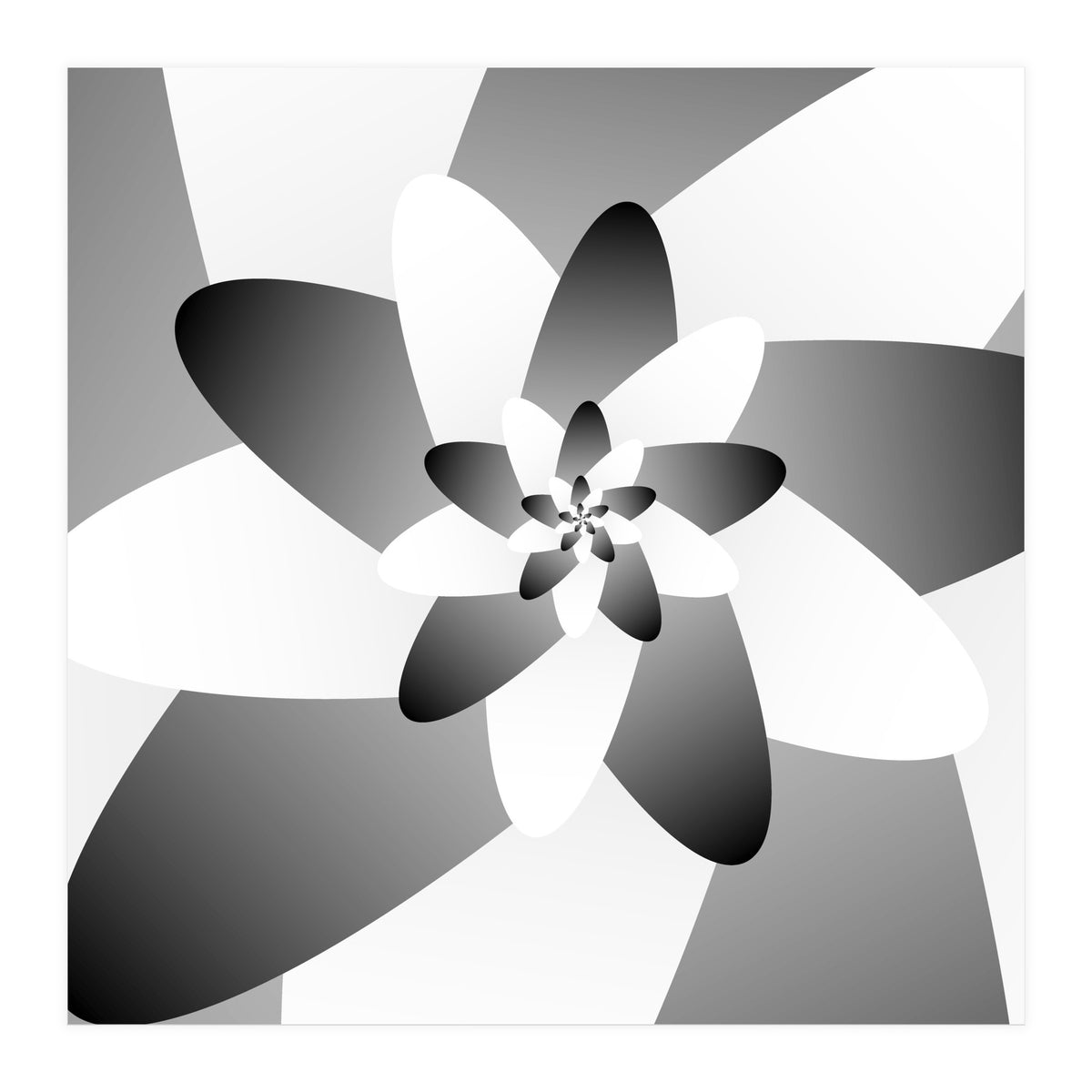 Abstract Black & White Floral (Print Only)