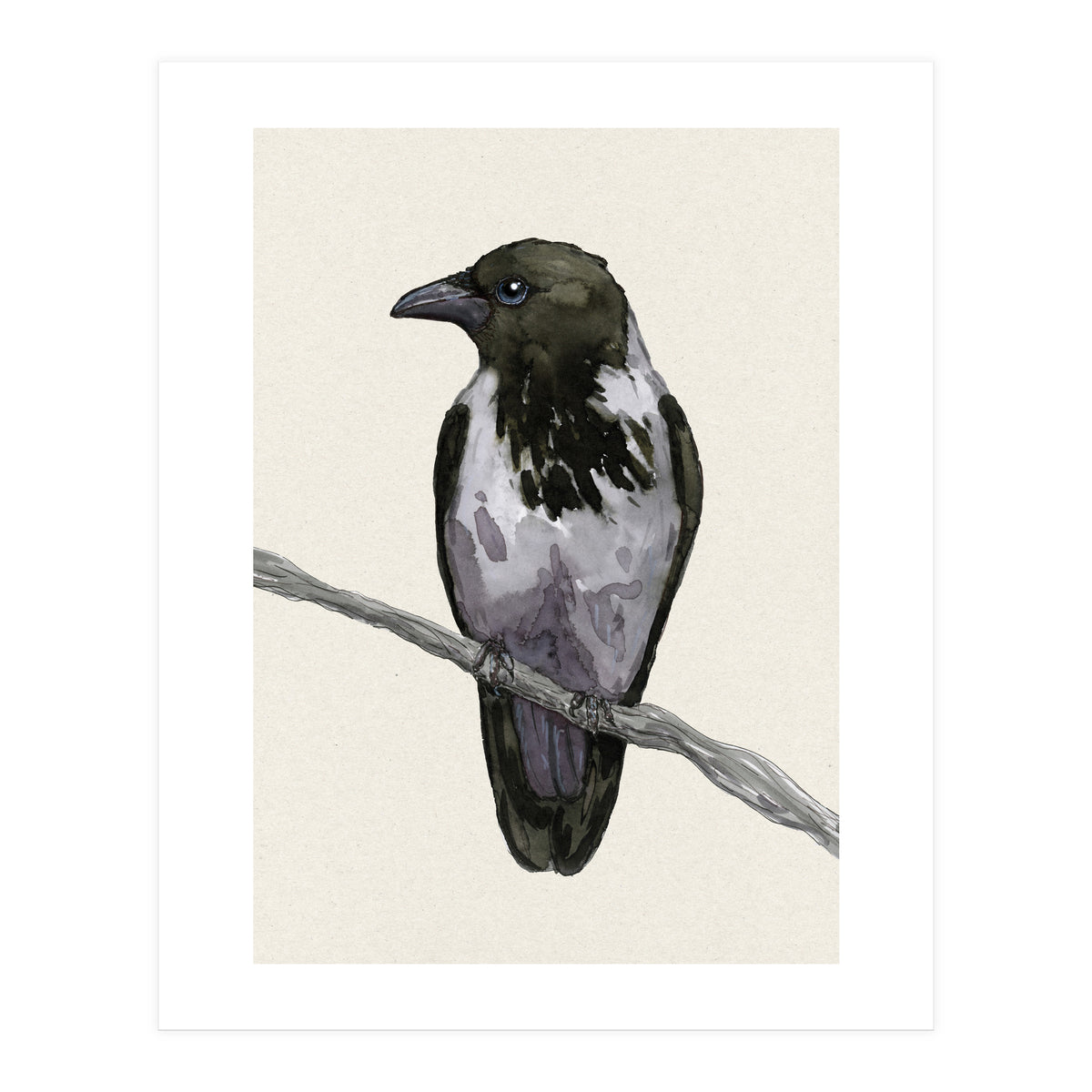 Hooded crow watercolor (Print Only)