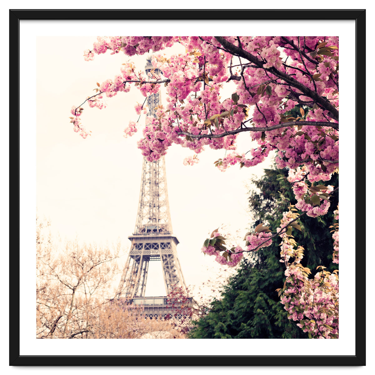 Paris in the Spring